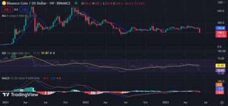 BNB weekly chart shows sideways movement: source @Tradingview